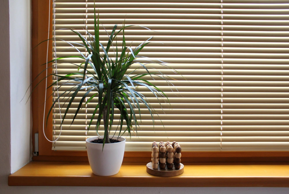 Window Venetian Blinds with a showpiece plant