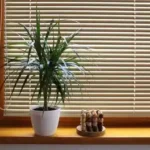 Horizontal Venetian Blinds in window