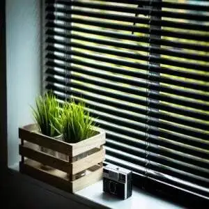 Window Blinds